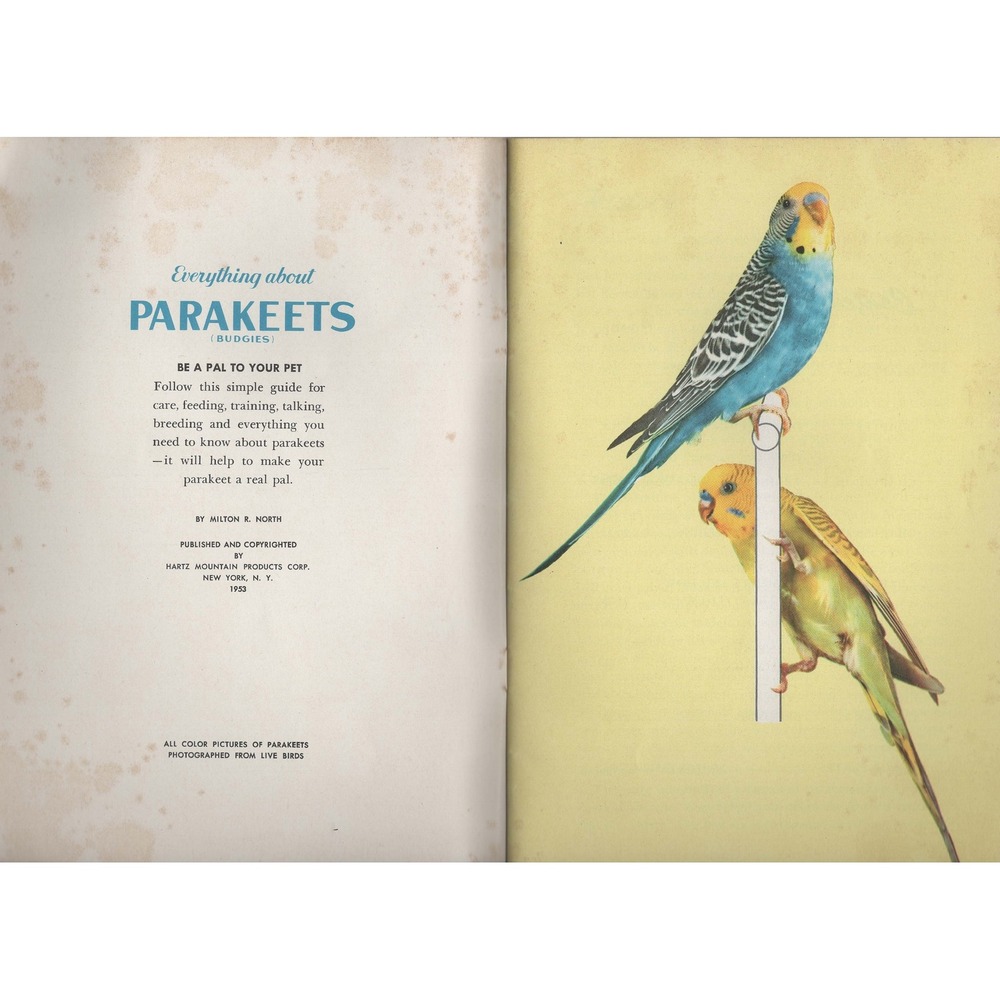 Everything about Parakeets Budgies 1953 Hartz Mountain Milton R North Manual - Picture 3 of 3